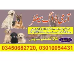 Army Dog Center Jhelum 03010054431