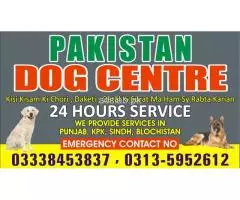 Army Dog Center Sargodha 03010054431 - 1