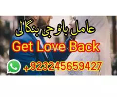 get love back-love marriage problem - 3