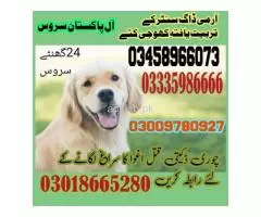 Army Dog Center Jhelum Cantt 03458966073