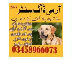 Army Dog Center Islamabad Contact Number 03458966073