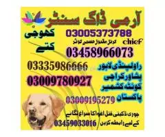 Army Dog Center Bahawalpur 03018665280