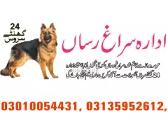 Khoji dogs in Sargodha 03005780720