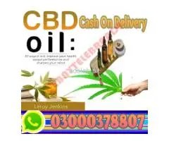 CBD & Oil In Wazirabad-03000378807 - 4