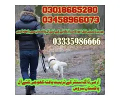 Army Dog Center Sadiqabad #03005373788  کھوجی کتے
