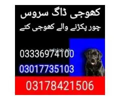 Army dog center karachi 03017735103 - 1