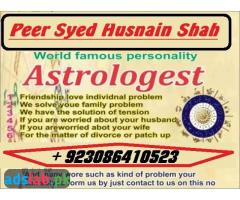 love marriage specialist Astrologer problem solution,00923086410523