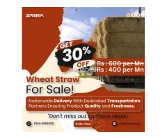 Wheat Straw Sale on Zarea.pk