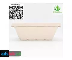 display trays fruit tray sugarcane tray tray plate pulp tray packaging bagasse packaging - 1