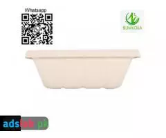display trays fruit tray sugarcane tray tray plate pulp tray packaging bagasse packaging - 2