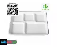 display trays fruit tray sugarcane tray tray plate pulp tray packaging bagasse packaging - 10