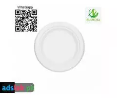 melamine plates round plate paper plates disposable sugarcane plates 6 7 9 10 inch - 11