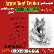 Army Dog Center Okara